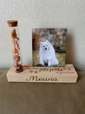 fotoplankje met droogbloemen en tekst dogs leave paw prints front view