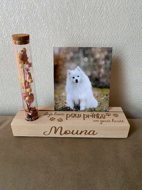 fotoplankje met droogbloemen en tekst dogs leave paw prints front view